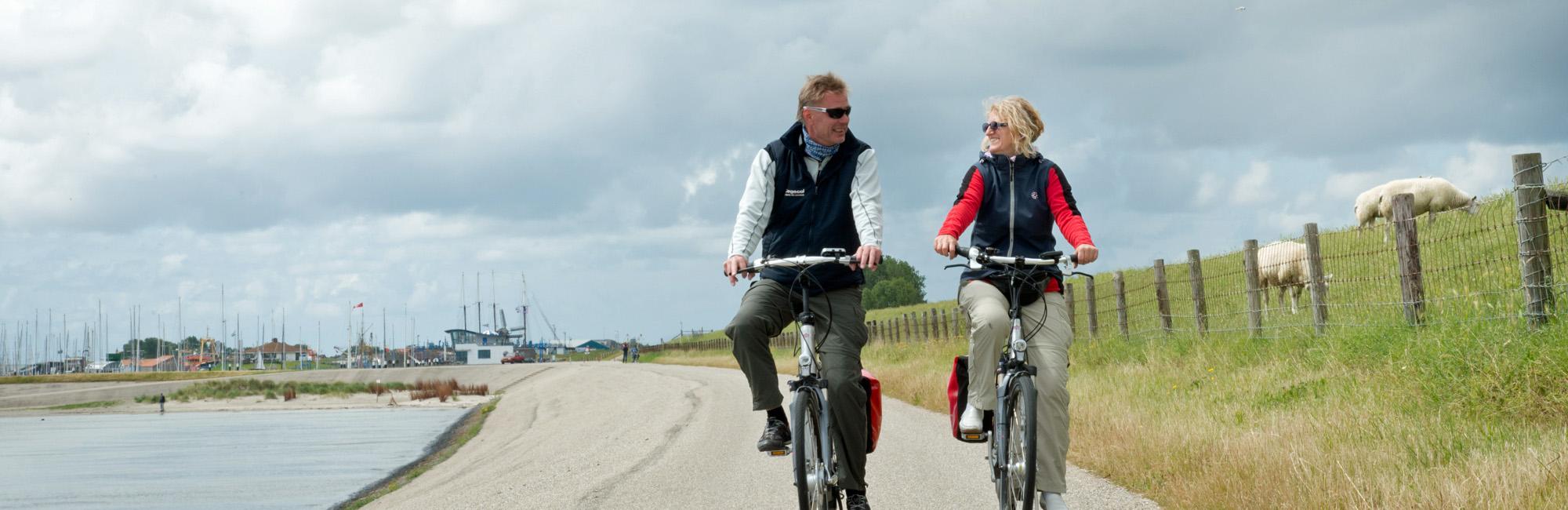 Dutch Bike Tours Cycling holiday Bike and Boat IJsselmeer
