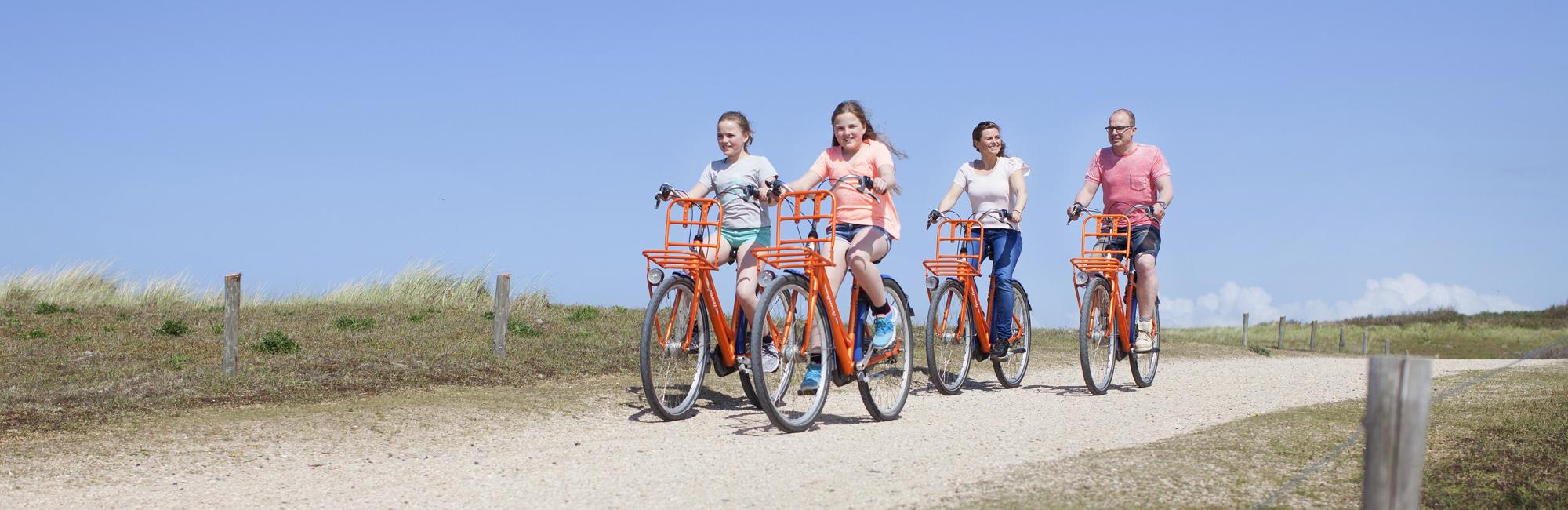 Dutch Bike Tours Cycling holiday Family budget: Beach, dunes and cities