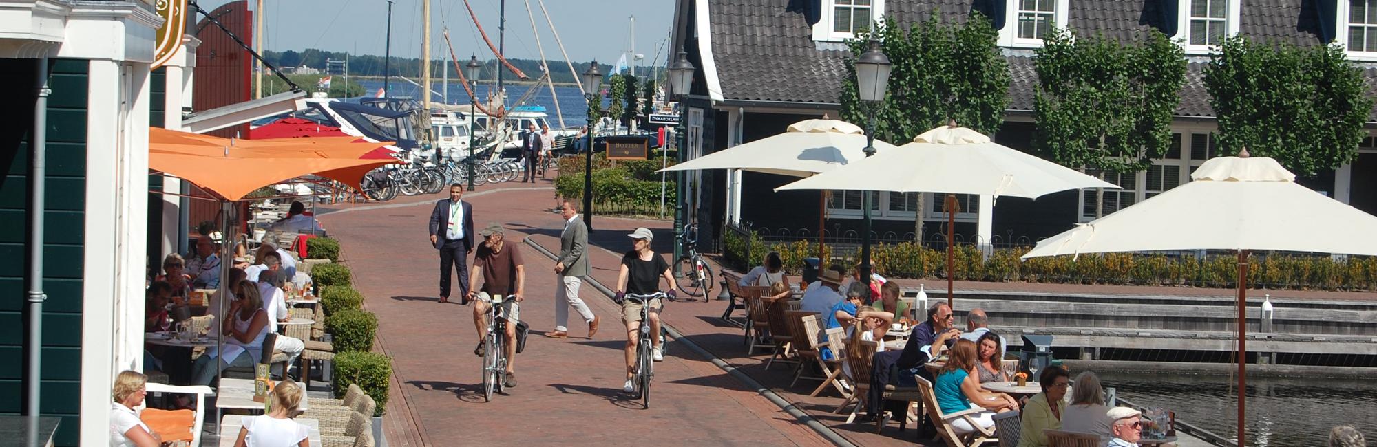 Dutch Bike Tours Cycling holiday Lake IJssel Tour - classic